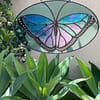 Blue Morpho (teal)