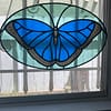 Blue Morpho (teal) - Image 2
