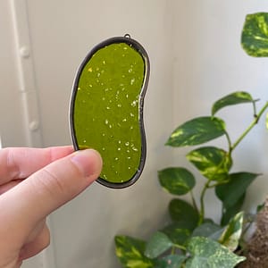 Pickle - Translucent