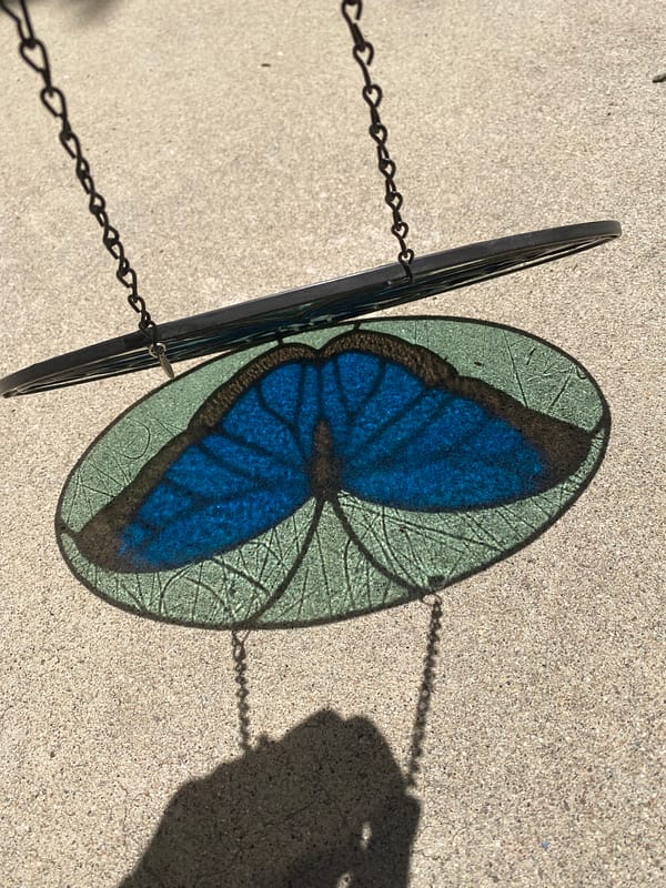 Blue Morpho (teal) - Image 3