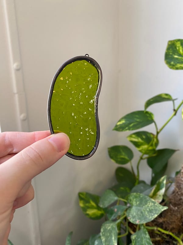 Pickle - Translucent