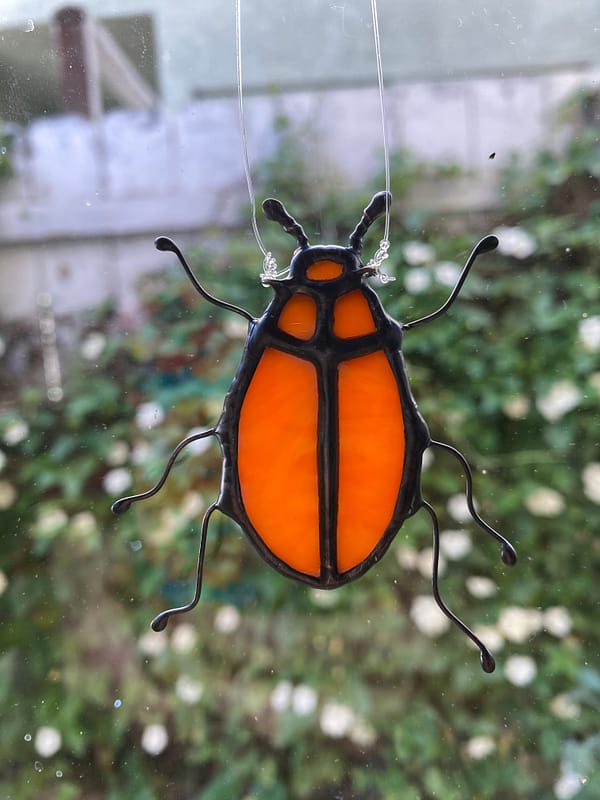 poppy beetle 1