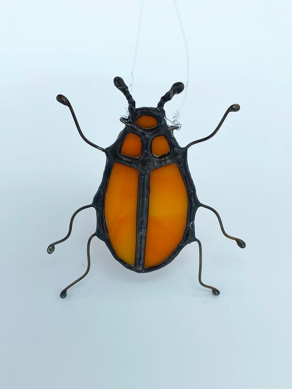 poppy beetle 2
