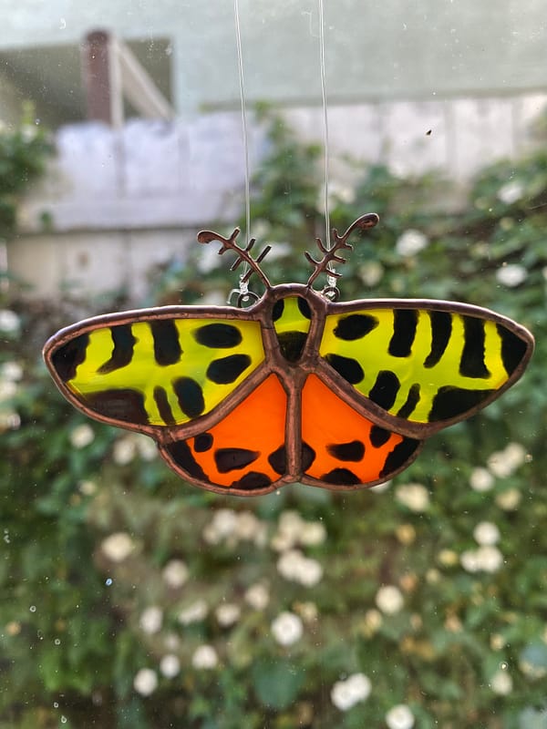 Tiger moth 1