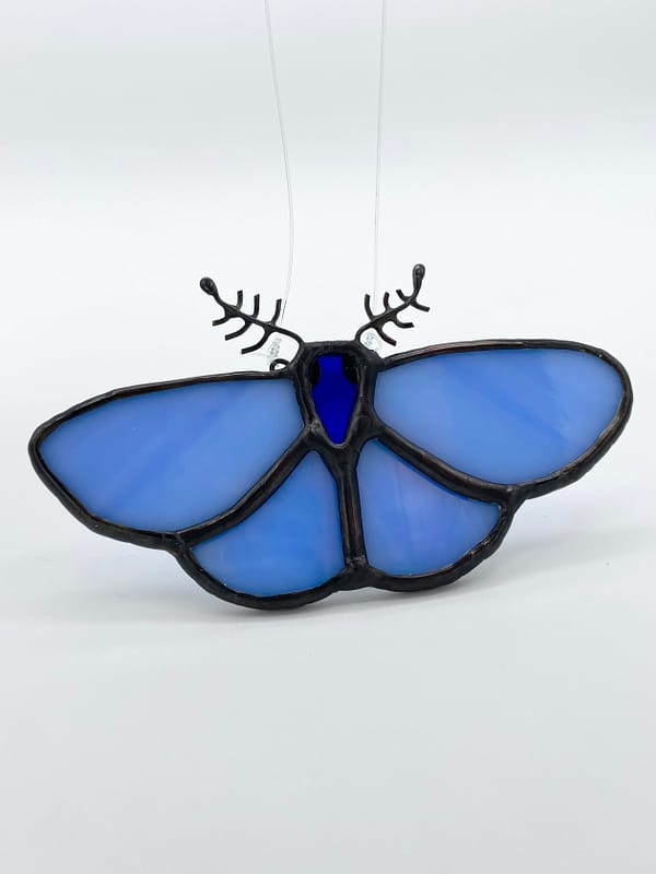 blue moth 2