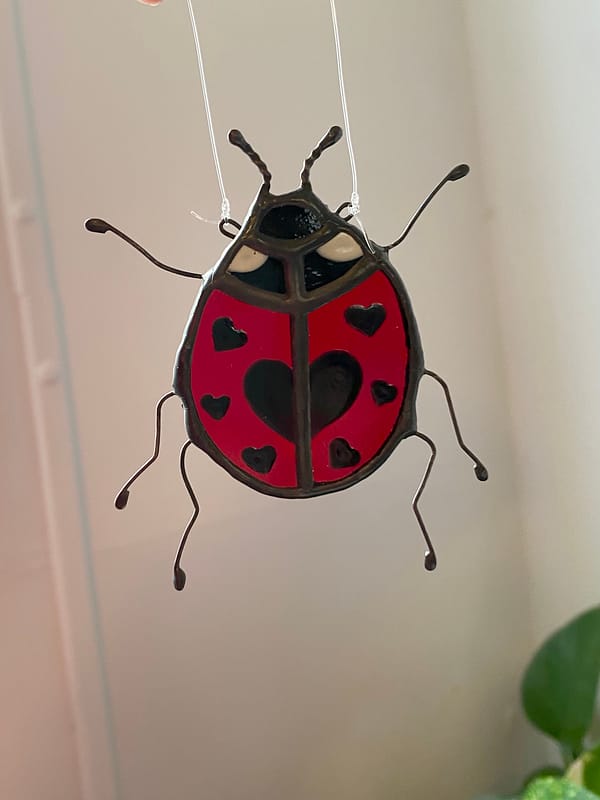 Heart Spot Ladybug